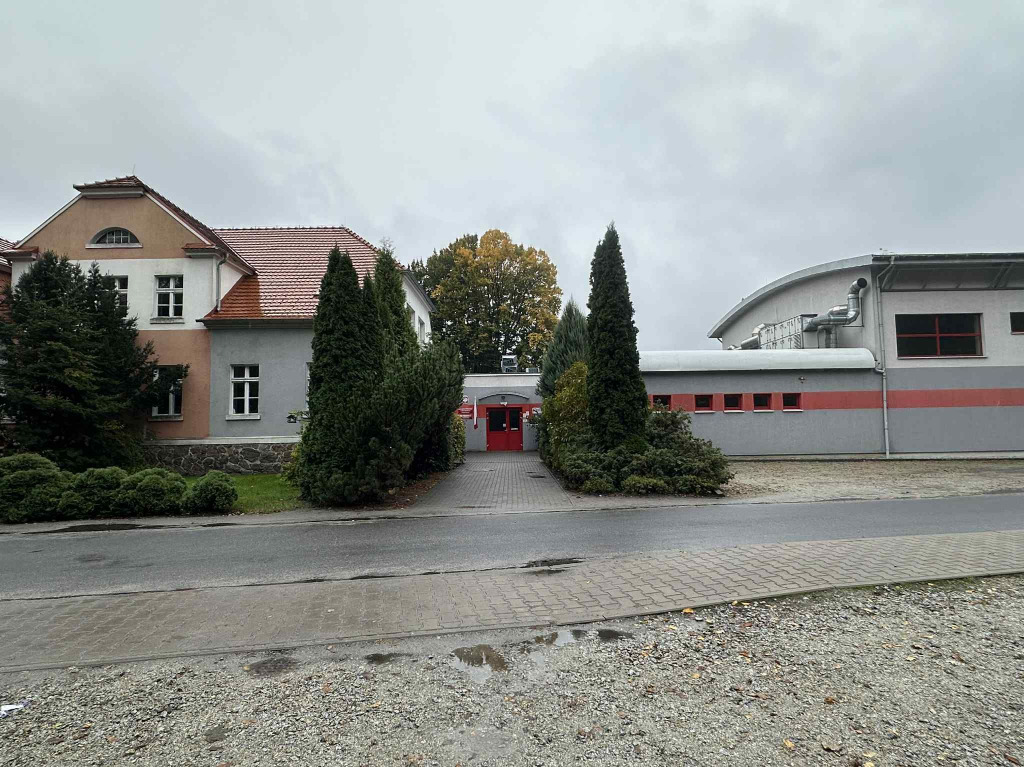 SPBorzeciczki